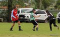 IMG_3981