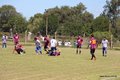 IMG_5528