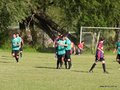 P1580158