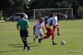 IMG_6463