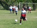 P1620259