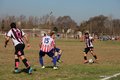 IMG_8152