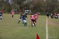 IMG_5950
