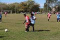 IMG_6060