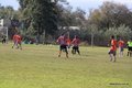IMG_6127