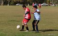 IMG_6059