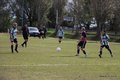 IMG_6093