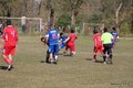 IMG_6323