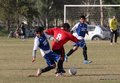 IMG_6377