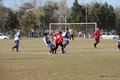 IMG_6378