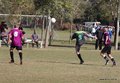 IMG_6339