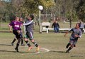 IMG_6346