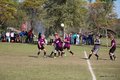IMG_6342