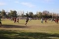 IMG_6371
