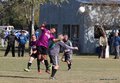 IMG_6337