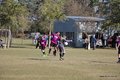 IMG_6338