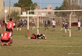 IMG_6411
