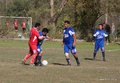 IMG_6324