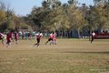 IMG_7041