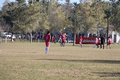 IMG_7033