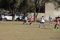 IMG_7066