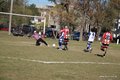 IMG_7077