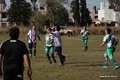 IMG_6982