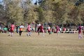 IMG_7039