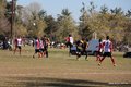 IMG_7017