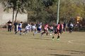 IMG_7068