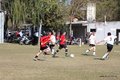 IMG_7242