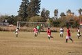 IMG_7316