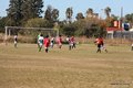 IMG_7305