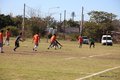 IMG_7291