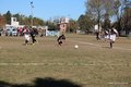 IMG_7274