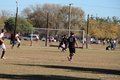 IMG_7282