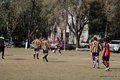 IMG_7228