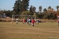 IMG_7304