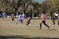 IMG_7249