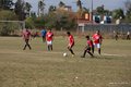 IMG_7867