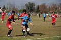 IMG_7861