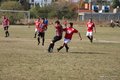 IMG_7868