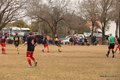 IMG_8123