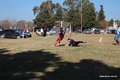 IMG_8364