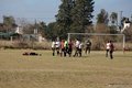 IMG_8350