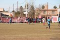 IMG_8987