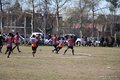 IMG_8803