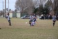 IMG_8723