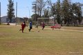 IMG_3545