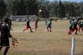IMG_3554